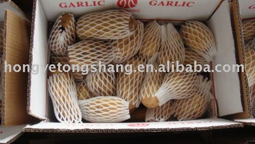 chinese fresh onion and potato