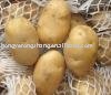 new cold storage for potato