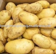  mesh   potato (Chinese)
