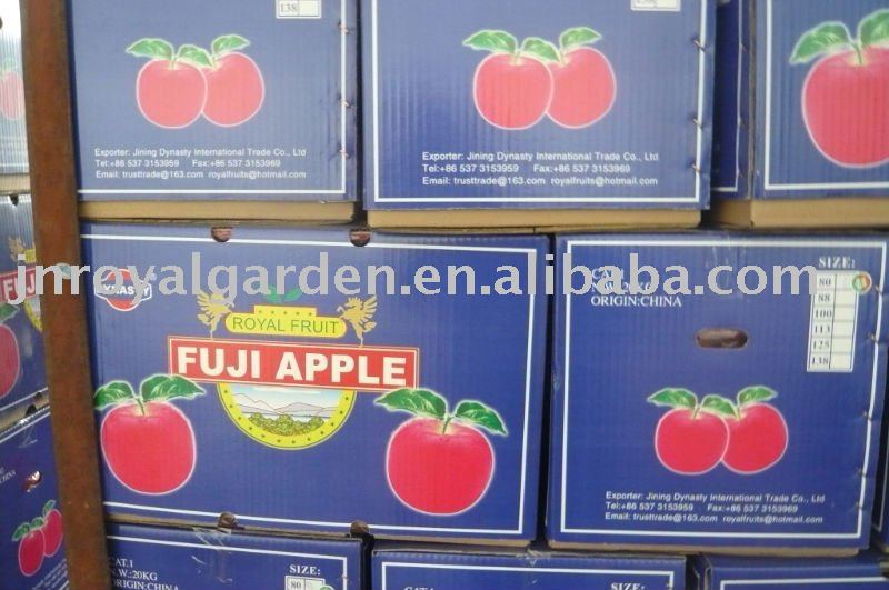 New crop Red Fuji apple from Yantai