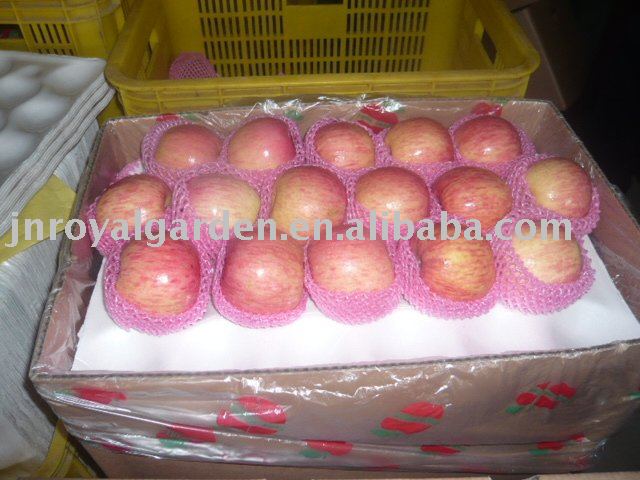 new crop Red Fuji apple