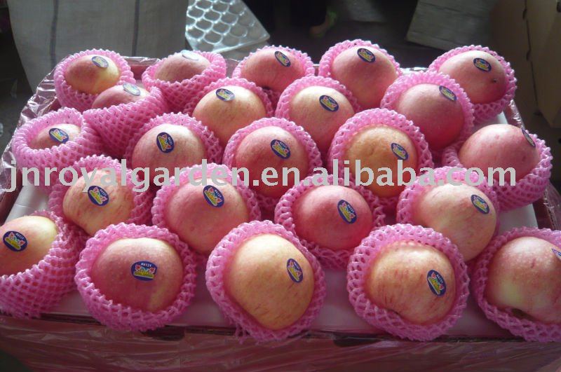 Chinese fresh Red Fuji apple
