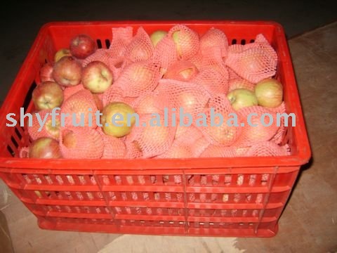 fresh apple