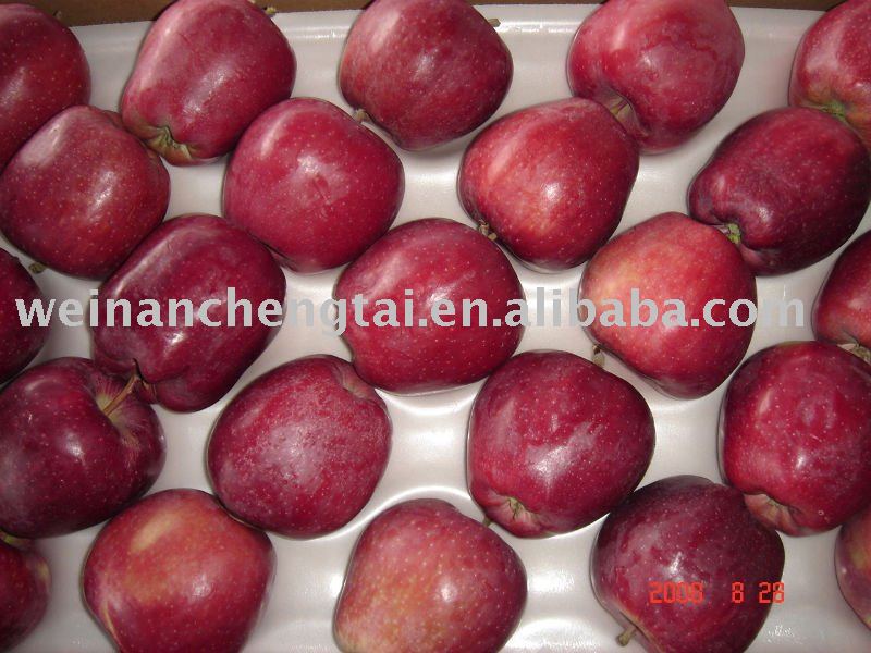 Red star apple