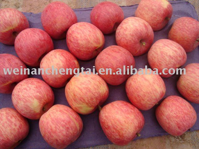 Fuji apple