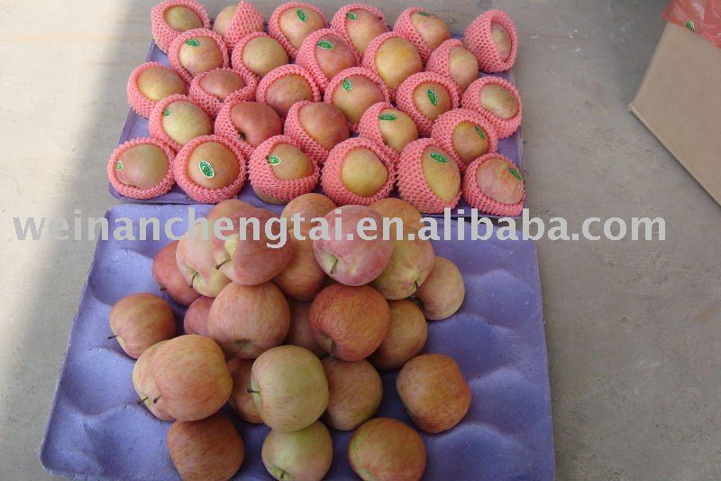 plastic bag fuji apple