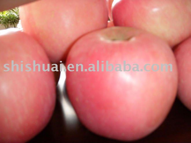 fresh red fuji apple 2010