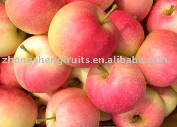gala Apple