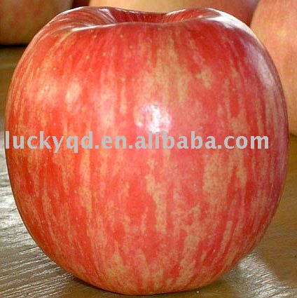 fresh yantai apple 88 size
