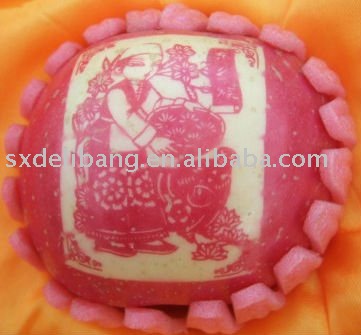 chinese fresh red fuji apple