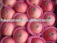 fresh apple