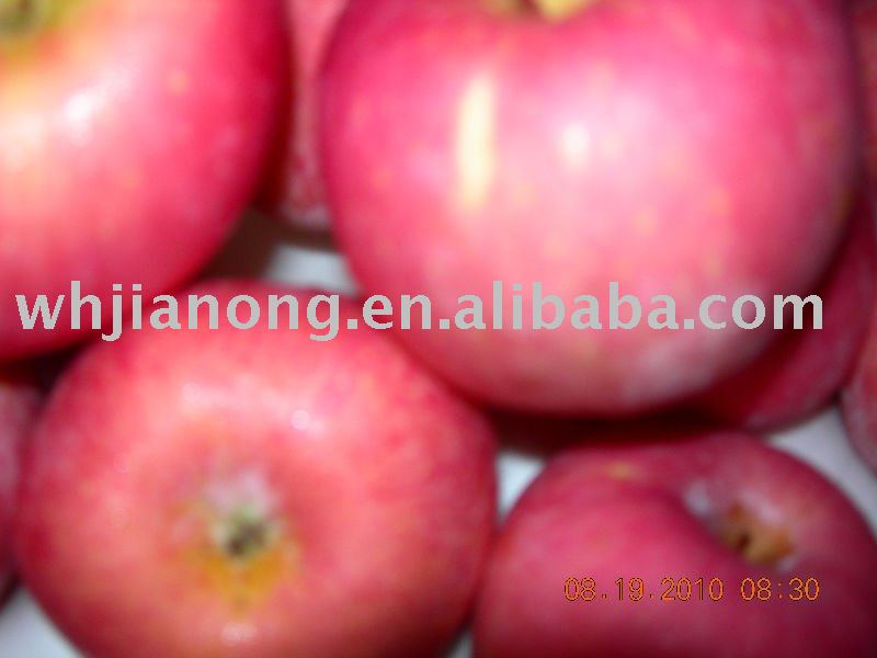 delicious apple