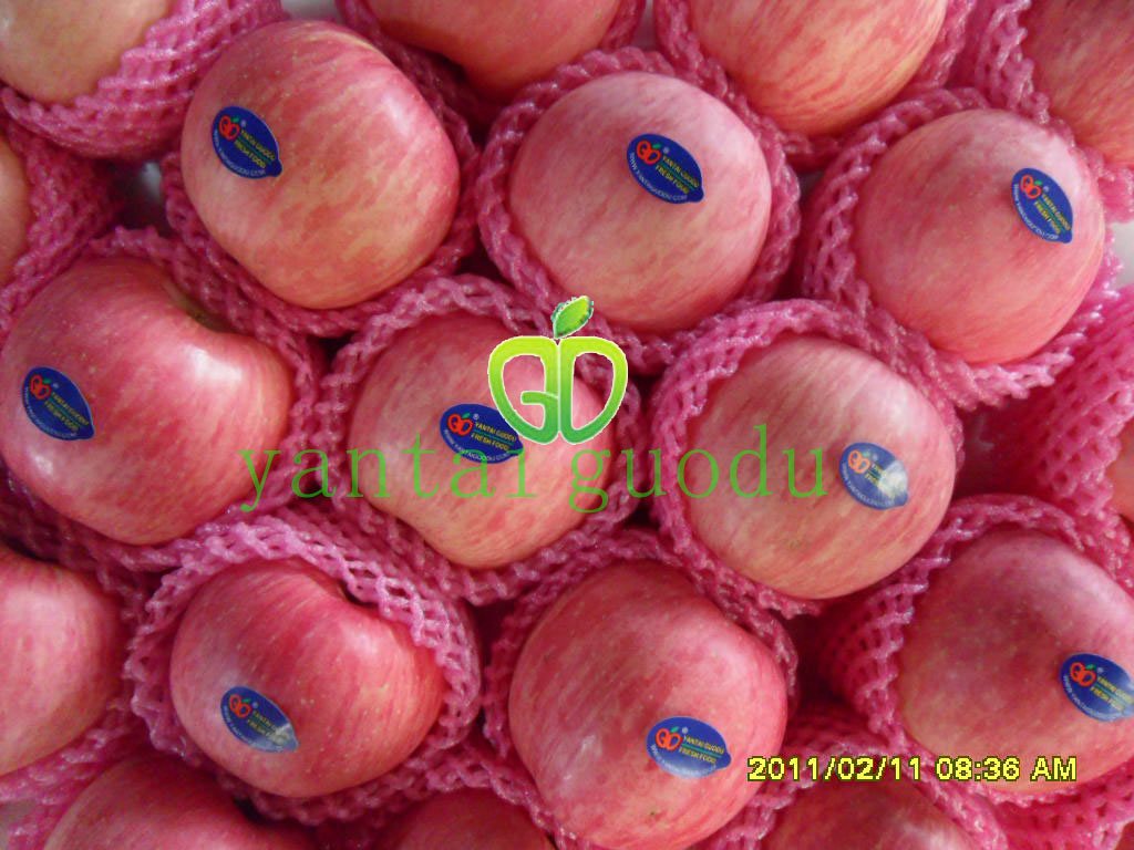 2010 YANTAI RED APPLE