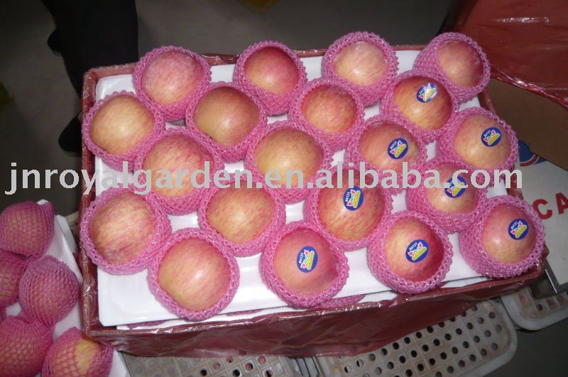 New crop red Fuji apple from Yantai Shandong