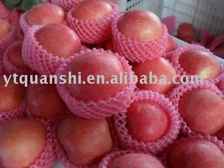 Fresh Red Apple For Best Price