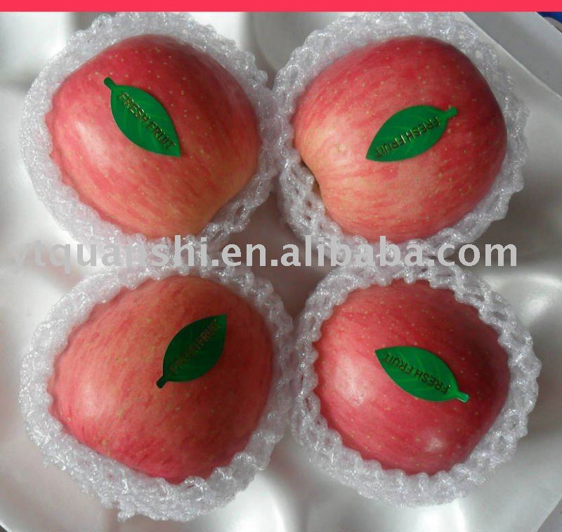 Red Fuji Apple