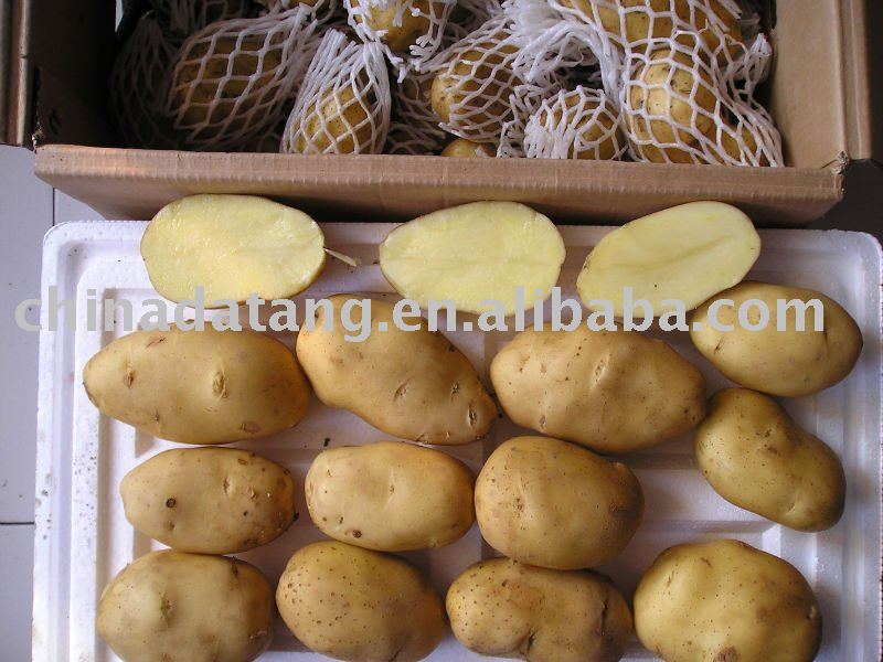 fresh potato the lowest price