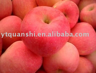 Red Apple For Best Price