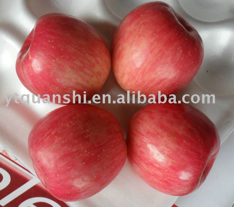 China Fuji Apple For Best Price