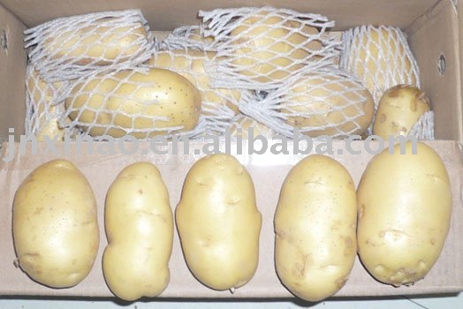 2010 Chinese fresh potato
