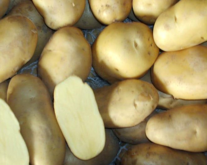 2010chinese fresh potato