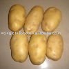 fresh atlantic holland potato