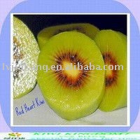 delicious red fresh organic  kiwi fruit