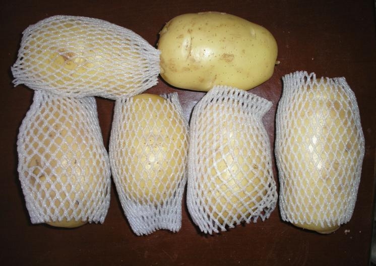 fresh holland potato,China KINGTON price supplier - 21food