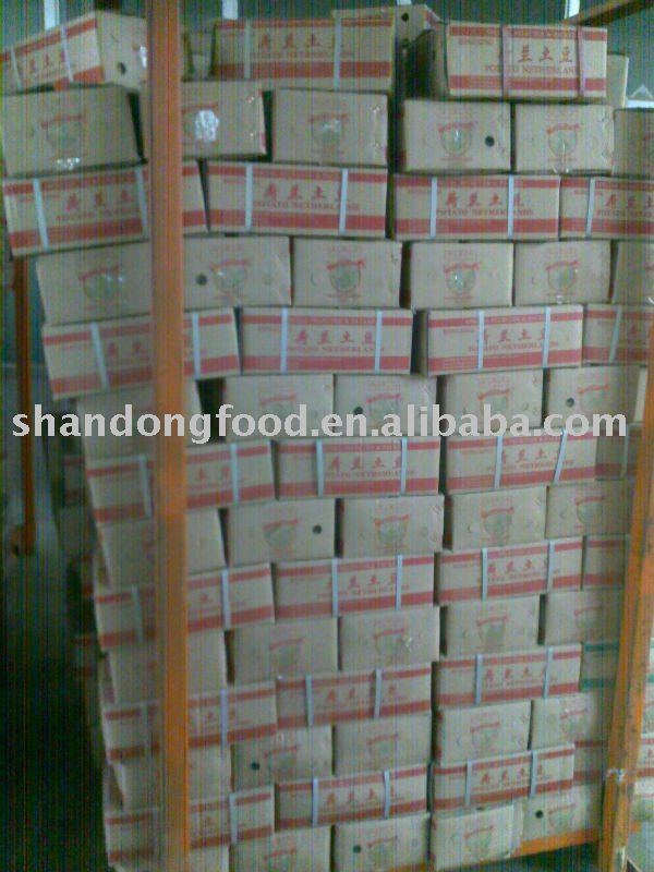 holland Potatoes