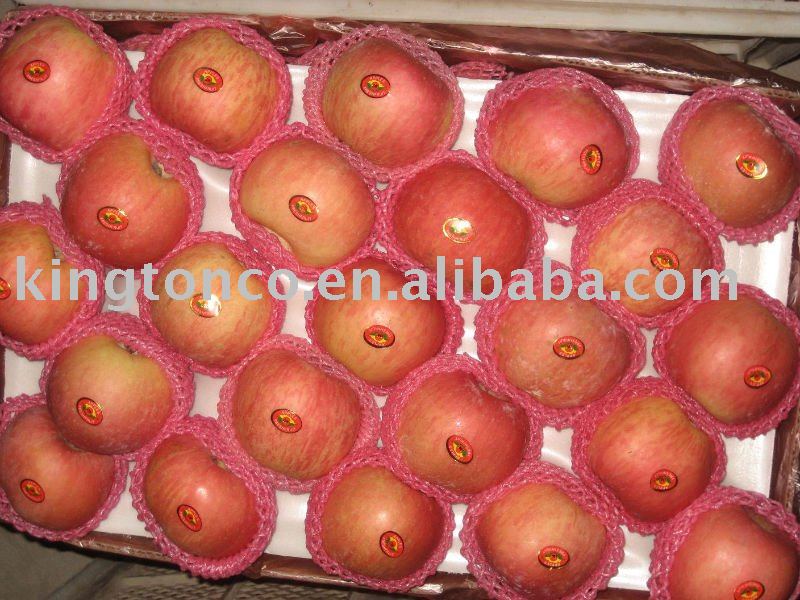  best   price   fuji   apple 