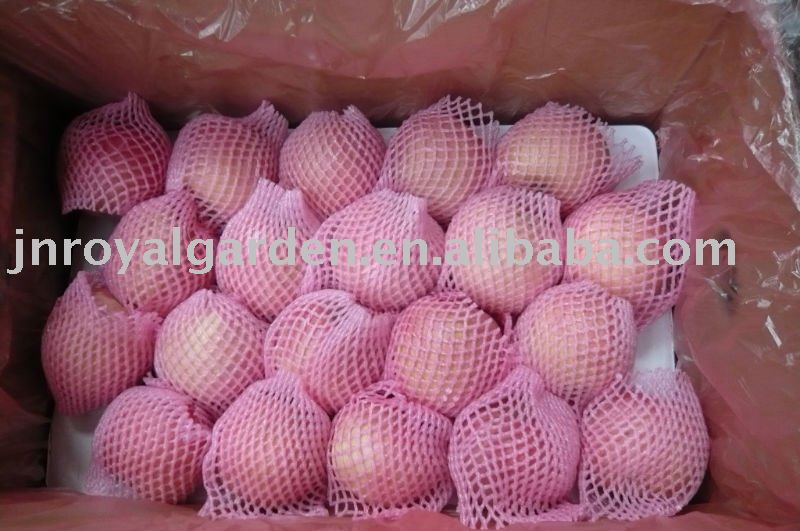 Yantai Chinese Red Fuji apple