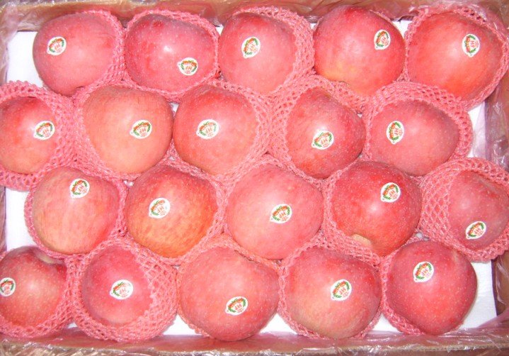 offer class 1  fresh   Qinguan   Apple 