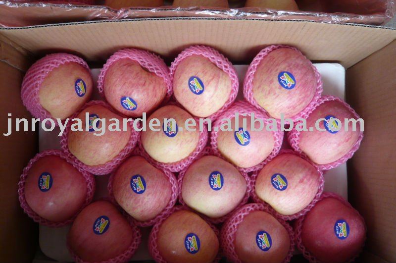 New crop Fuji apple from China