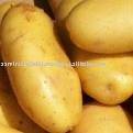 sweet potato