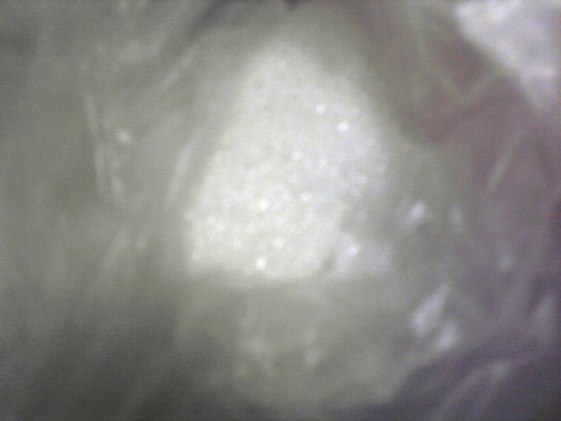 Refine /  Raw  Sugar