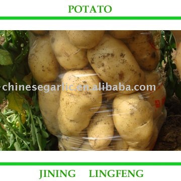 New Fresh Potato - 100G AND UP