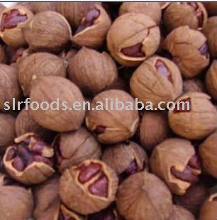 roasted small walnut in shell/organic walnuts