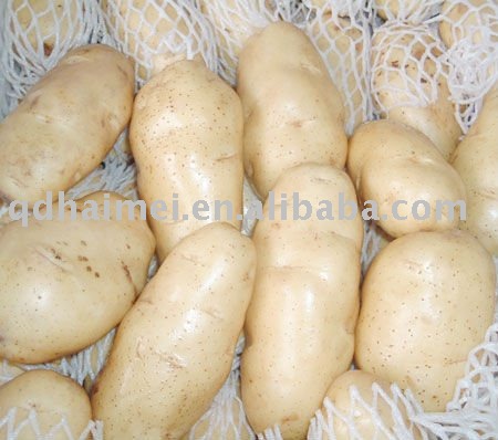 TOP QUALITY fresh  potato NEW CROP 2011