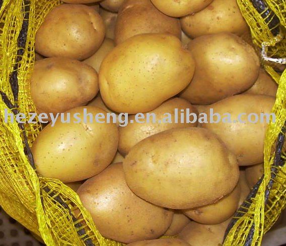 frozen potato products,China frozen potato supplier