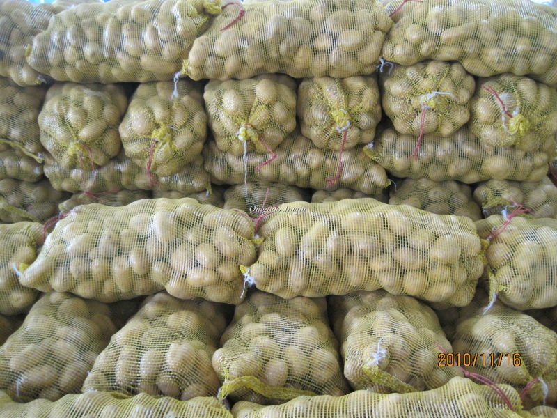 fresh sweet holland potatoes