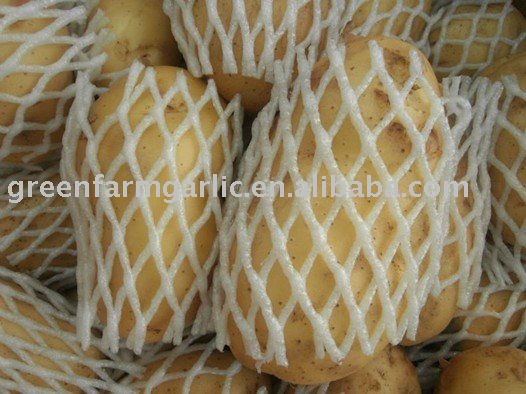 2011 Fresh Yellow Holland Potatoes--Best Price
