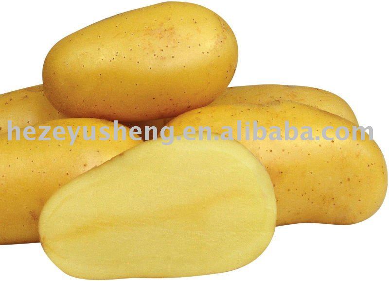 price of fresh potato
