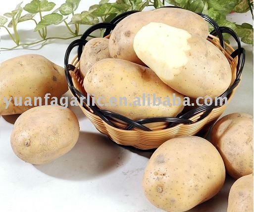 Fresh Potato in Mesh Bag Package