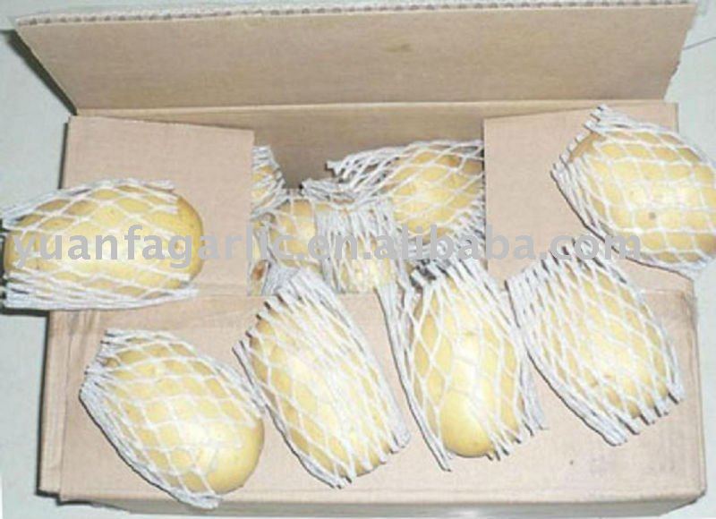 Fresh Potato in Carton Package, MOQ:1*40'FCL