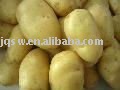 new crop holland potato