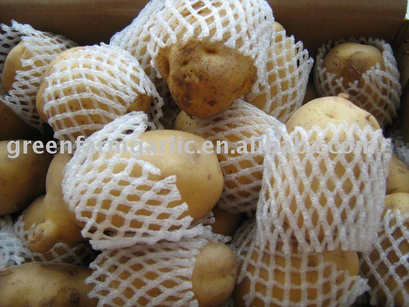 Chinese  2011   Fresh  Potato in 70-100g,100-150g in Carton