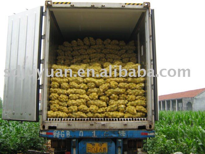  2011   Fresh   Potato