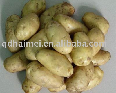 2011 new crop fresh potatoes