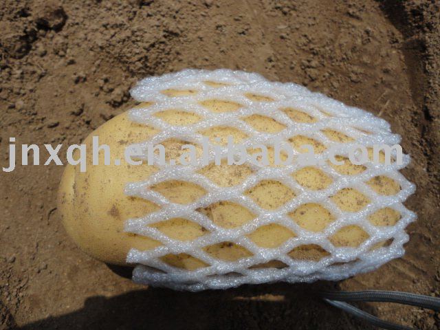 2011 fresh potato