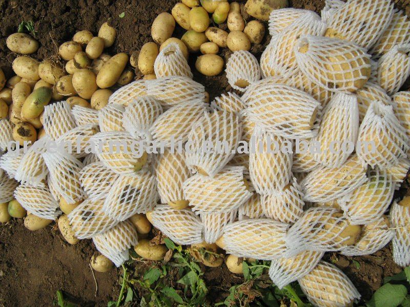 Chinese 2011 Fresh Potato be proved by Proved Global G.A.P